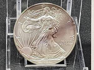 2013 American Silver Eagle US Mint Walking Liberty Coin 1oz .999 fine