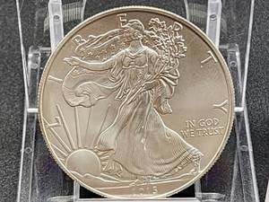 2013 American Silver Eagle US Mint Walking Liberty Coin 1oz .999 fine