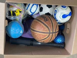 lot 67 image: Lot of Various Sports Balls