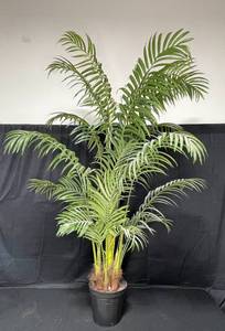lot 29 image: Artificial House Plant