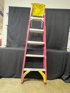 lot 175 image: Werner Ladder - 6ft