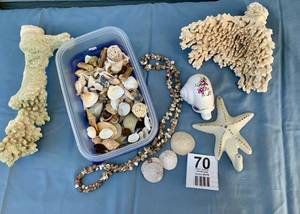 Plastic Bin of SEASHELLS-Sand Dollar-Metal Starfish Hanger-Large Coral
