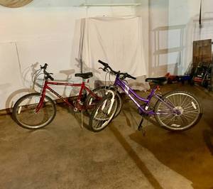 2 Bikes Roadmaster Edge