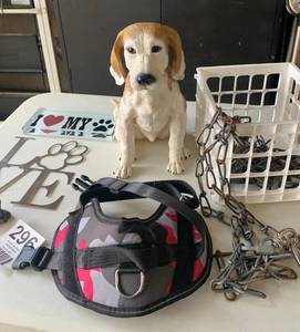 Dog Item Mix chains, signs