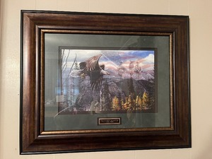 lot 108 image: May Freedom Fly Forever by Kevin Daniel artist signed