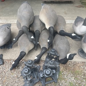 lot 72 image: Large LOT Goose Decoys