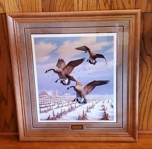 lot 10 image: Winter Wonder Canadian Goose by David A. Maass Reproducted 1994 6252500 signed and numbered