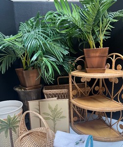 lot 178 image: Wicker Corner Shelf and Palm Bathroom Decor