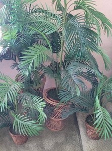 lot 264 image: Lot of Faux Tropical Plants and Baskets