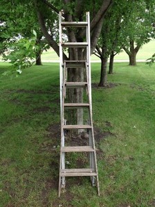 lot 79 image: 16 Metal Extension  Ladder   Aluminum Ladder Section and  6 Wooden Ladder