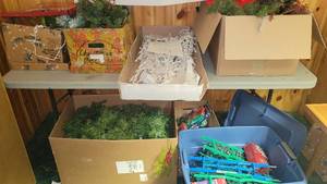 lot 316 image: Christmas Tree Lot