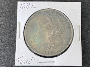 1882 Morgan Dollar Toned