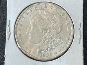 1886 Morgan Dollar