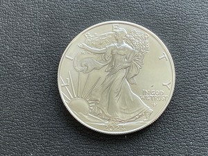 lot 57 image: 2024 Silver Eagle