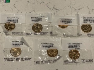 lot 193 image: Sacagawea and Native American Dollars Uncirculated-60
