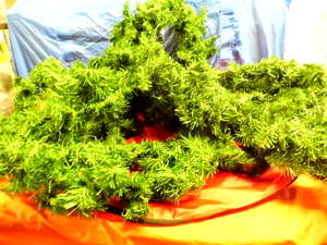 Garlands