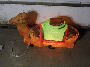 Camel Blow Mold