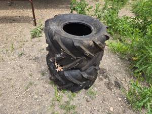 lot 20 image: Pair of Carlisle Tires 18x9.5-6