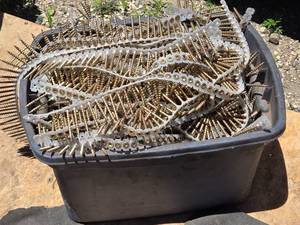 lot 50 image: Small Tote full of Tabbed Screws