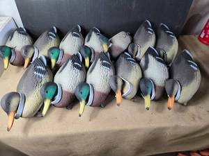 lot 210 image: Large Lot of Mostly New Duck Decoys