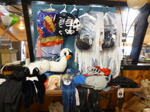 Childrens Costumes