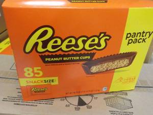 85 ct Reeses Snack Size Peanut Butter Cups