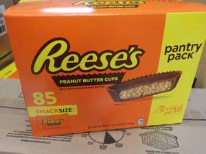 85 ct Reeses Snack Size Peanut Butter Cups
