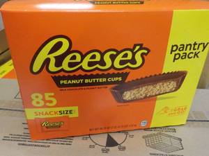 85 ct Reeses Snack Size Peanut Butter Cups
