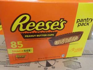 85 ct Reeses Snack Size Peanut Butter Cups
