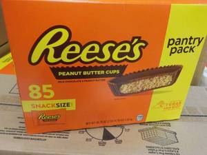 85 ct Reeses Snack Size Peanut Butter Cups