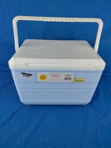 lot 66 image: New Sun Squad 10 Quart Cooler