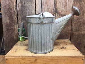 Nifty Galvanized SpringlingWatering Can with Spout