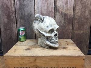 Large Chalkware Skull Candle Holder