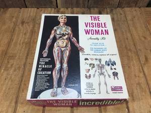 Vintage RENWALL The Visible Woman Box Kit