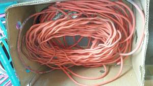 lot 806 image: 2 extension cords plus trouble light with long cord.