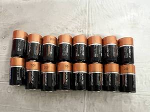 lot 304 image: 16 Duracell D Batteries