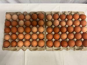 lot 225 image: 60 Free Range Eggs