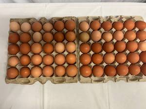 lot 226 image: 60 Free Range Eggs