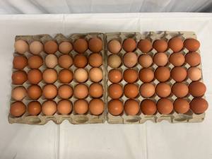 lot 228 image: 60 Free Range Eggs