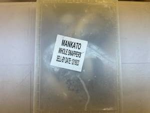 lot 8 image: B. Whole RB. 11-12 Whole Frozen Snappers  (Cleaned B. 11-12 Whole Frozen Snappers  (Cleaned Pkged in Plastic Container) in Plastic Container)ed Snapper