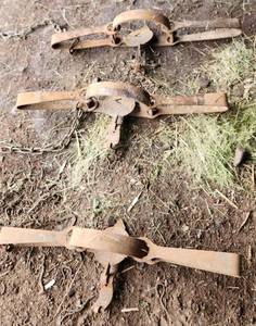 3 Vintage Metal Traps
