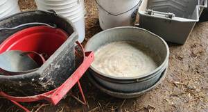 Buckets,Tubs & Feeders