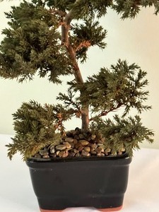 lot 195 image: Decorative Faux Bonsai Tree