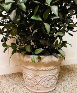 lot 118 image: Decorative Planter and Faux Plant