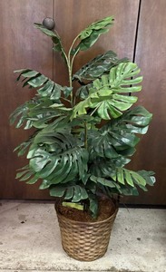 lot 414 image: Fabulous Faux Greenery