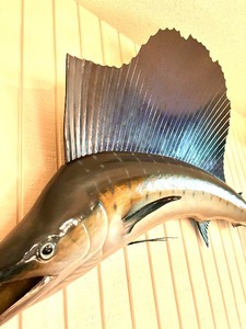 lot 145 image: Gorgeous Wall Mounted Sailfish