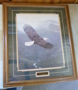 lot 59 image: Into the Mist Framed Print by Terry Isaac