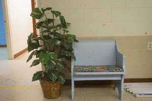 Blue Bench and Fake Tree
