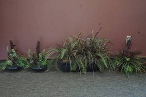 Home Decor Fake Succulent Plants, Ferns and more