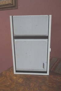 Bose Speaker